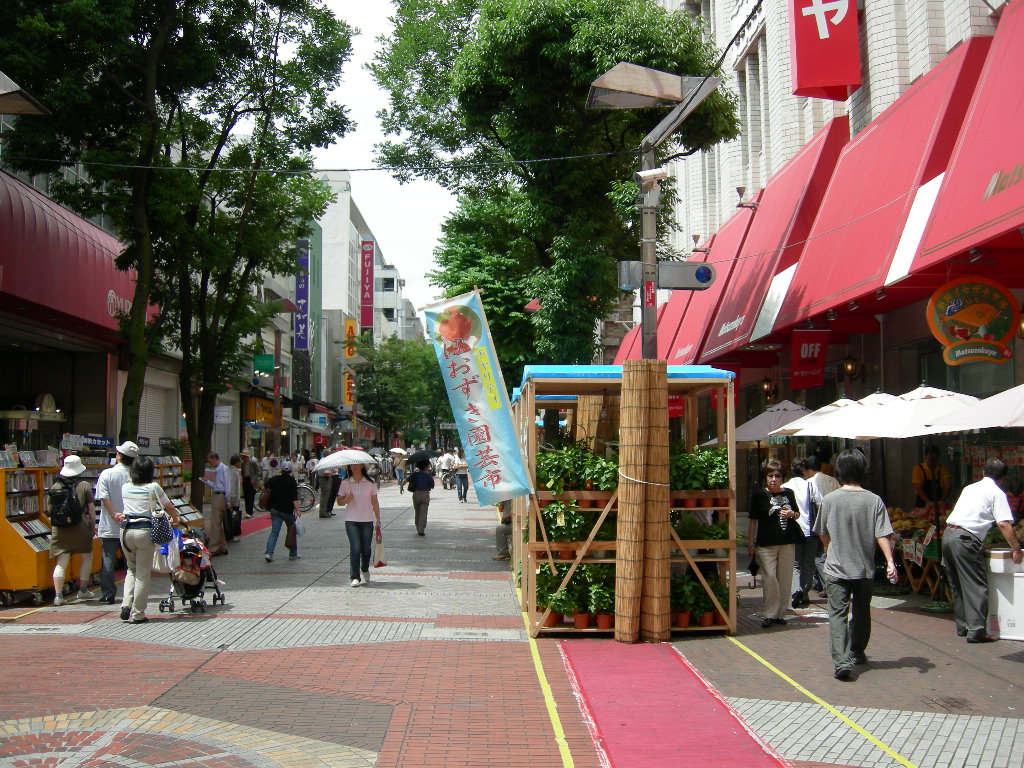 夏バテ② (心筋梗塞・脳梗塞)_f0135114_18421897.jpg