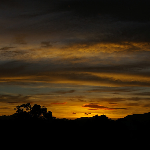 c0012819_23395645.jpg