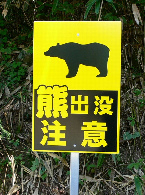 d0092026_23382875.jpg