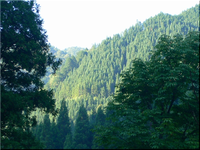 d0092026_2340310.jpg