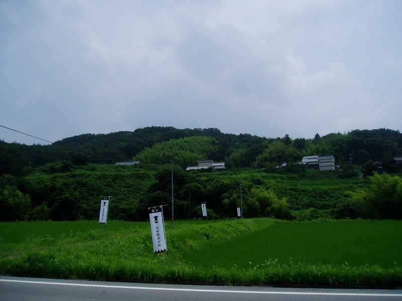 山田錦_c0107149_10194947.jpg