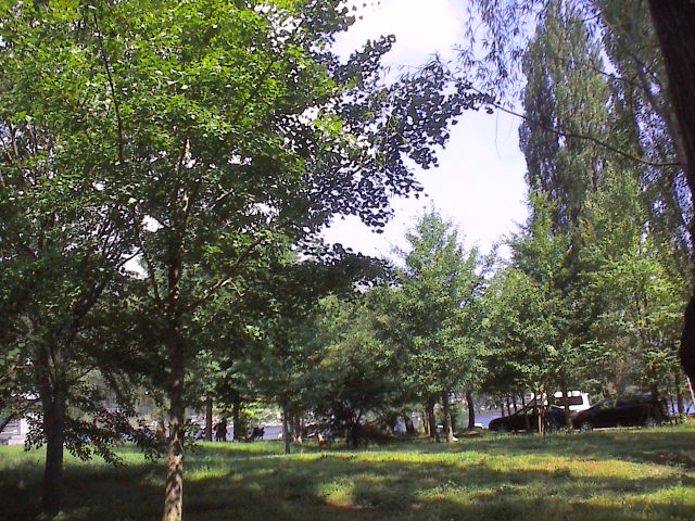 久しぶり。_e0060555_17272521.jpg
