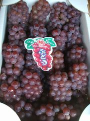 f0096955_0203231.jpg