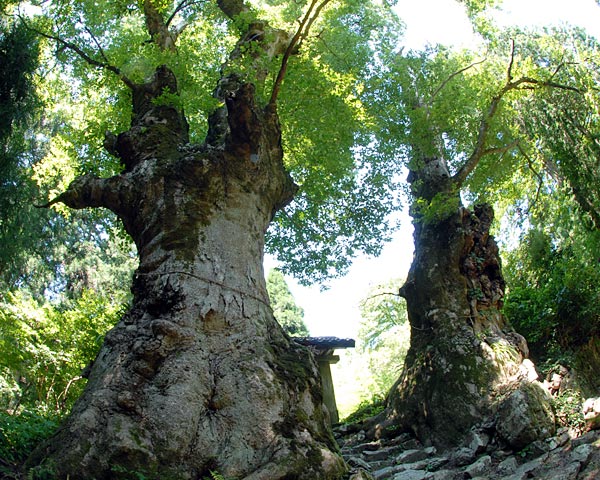 e0035757_21165941.jpg