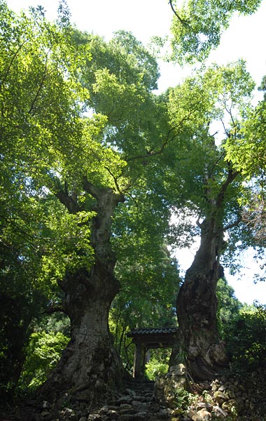 e0035757_21173151.jpg