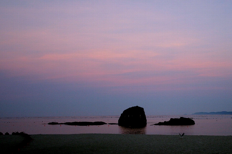 浜へ_d0092587_1110476.jpg