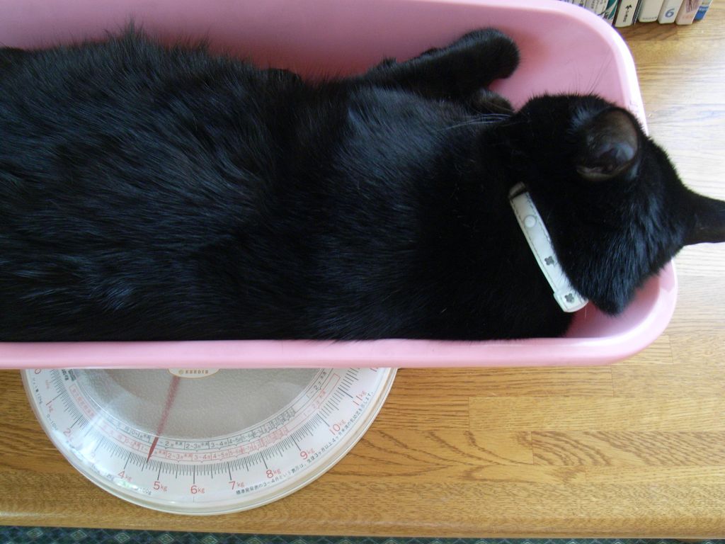 二日続けて猛暑_c0025115_20415233.jpg