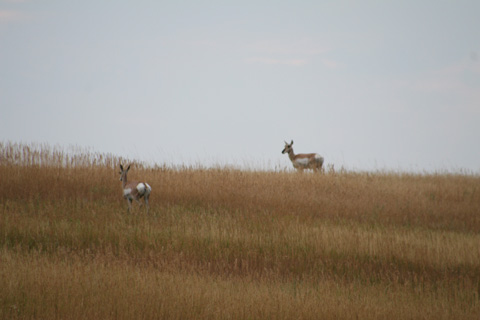 Badlands National Park_a0097322_1462917.jpg