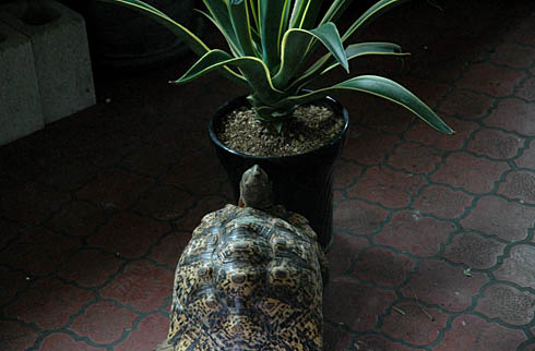 c0066827_1234048.jpg
