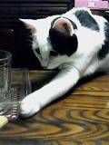 お盆なので…_b0000829_22294127.jpg
