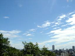 c0132335_2311880.jpg