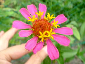 c0132335_2365011.jpg