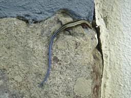 c0132335_2374653.jpg
