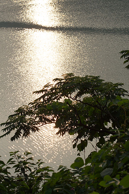c0067040_23184313.jpg