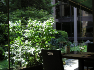f0001841_11373822.jpg