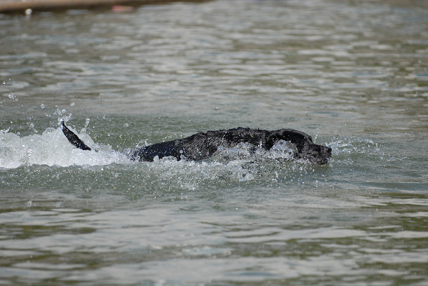 舞洲　ＳＰＯＲＴＳ　ＩＳＬＡＮＤ_c0118545_21423625.jpg