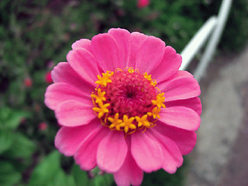 f0031546_20521177.gif