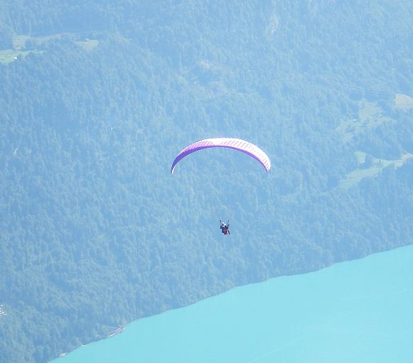 とろとおでかけ（夏旅行）その2_c0100847_194423.jpg