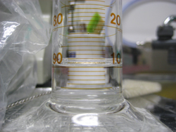 b0112648_2158823.jpg