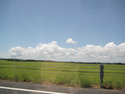 b0112648_2235103.jpg