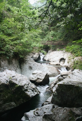 b0025850_20102169.jpg