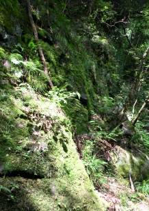 b0025850_20131761.jpg