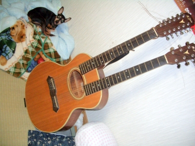 K.yairi 1960年製 ダブルネックアコースティックギター K.ヤイリ アコースティックギターカタログ 1980 K.yairi 1960年製