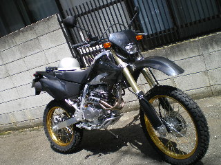 c0118352_1131583.jpg