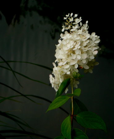 d0091754_1341441.jpg