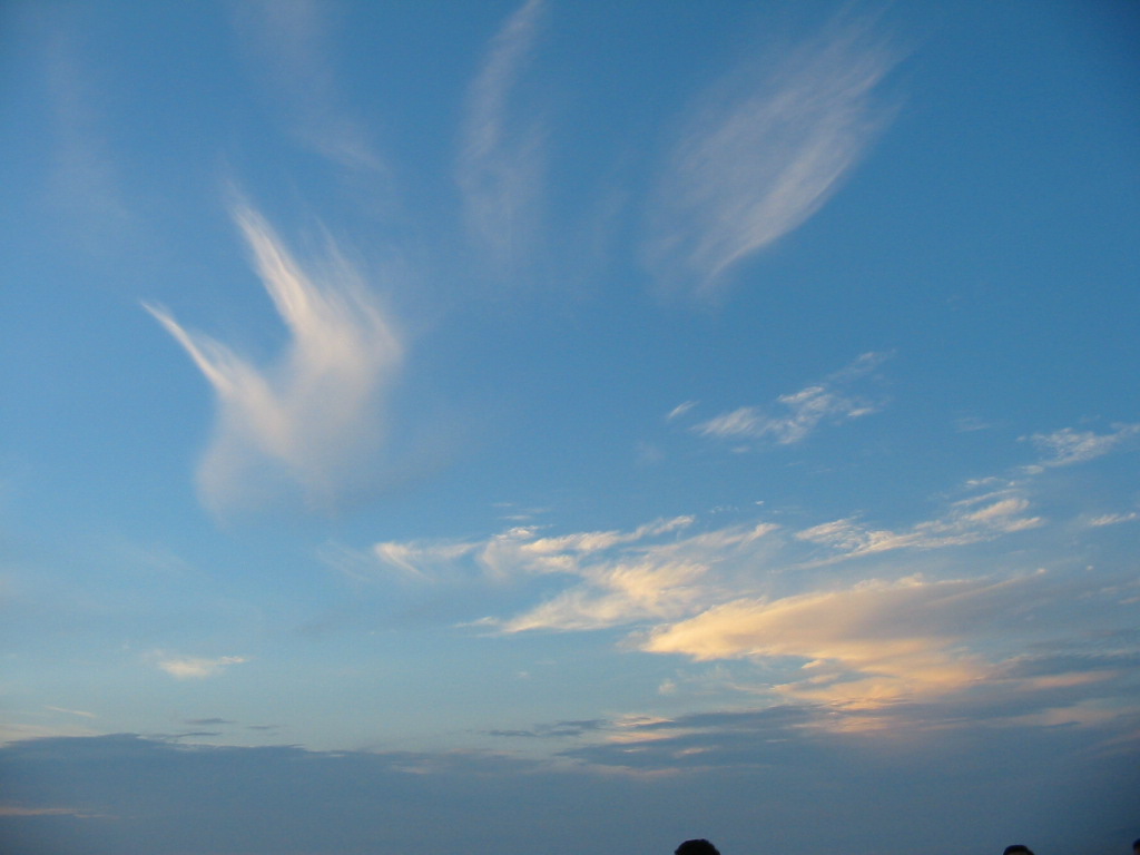 c0010455_2235917.jpg