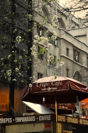 f0063659_246952.jpg