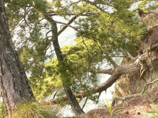 f0065568_8354866.jpg