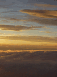 b0076085_7272021.gif