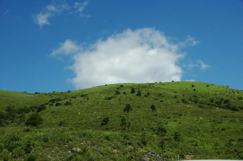 c0075585_16291254.jpg