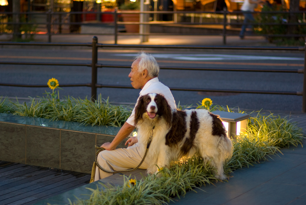 老人と犬 Fa 77mm F1 8 Limited Ubu S フォトギャラリー 老人と犬 Fa 77mm F1 8 Limited Ubu S フォトギャラリー