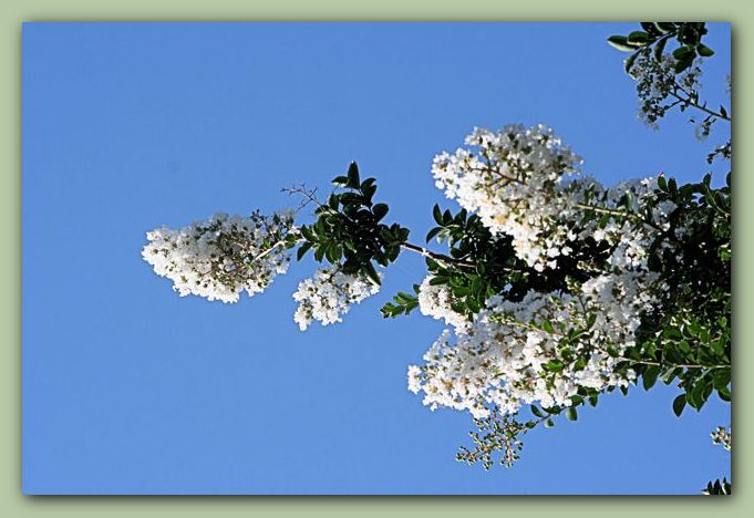 f0079990_9254627.jpg