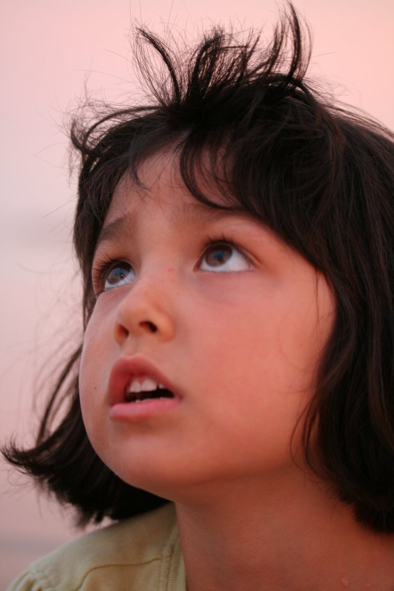 c0084097_32428.jpg