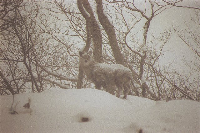 e0121197_22272829.jpg