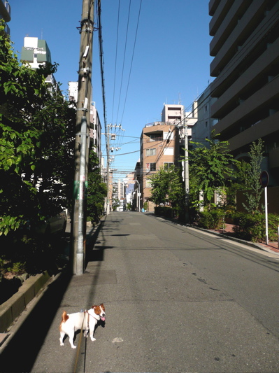 f0146198_11303245.jpg