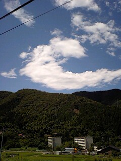d0093903_173744.jpg