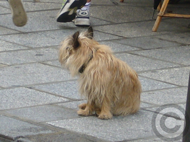 a0008105_18433867.jpg