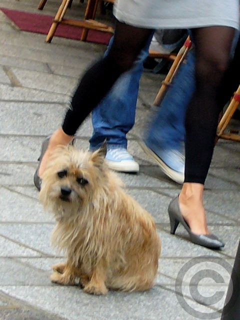 a0008105_18435330.jpg