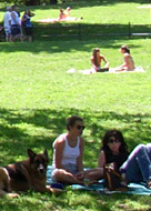 セントラルパークで模型ヨット遊びのできる池 Conservatory Water_b0007805_1333319.jpg