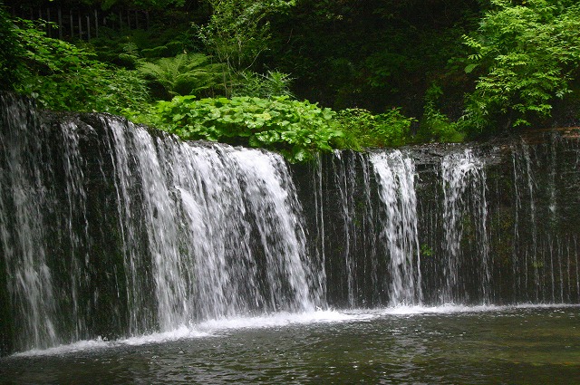 a0002209_22541621.jpg