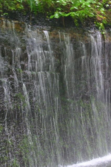 a0002209_22543416.jpg