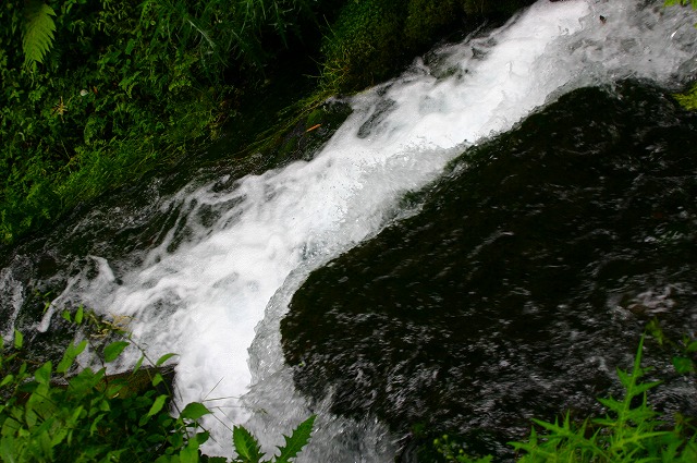 a0002209_232108.jpg
