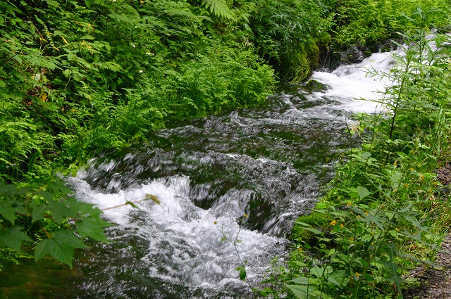 a0002209_2323631.jpg