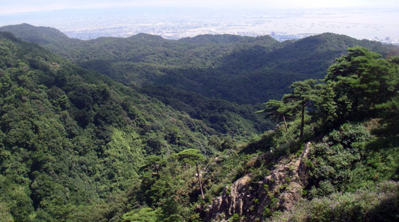 07.08.14 六甲山_a0062810_1948236.jpg