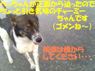f0121712_10204598.jpg