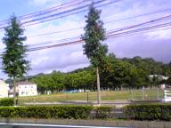 いよいよ_f0006215_18552448.jpg